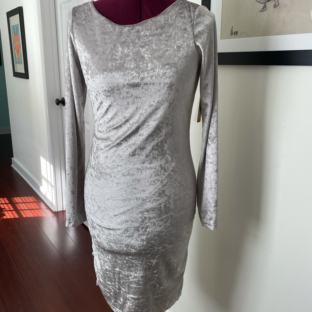 NWT Alice and Olivia Silver Dress 8